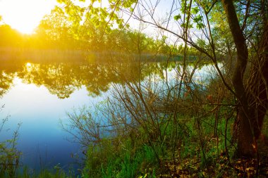 Sakin yaz nehri, günbatımında sahilde orman.