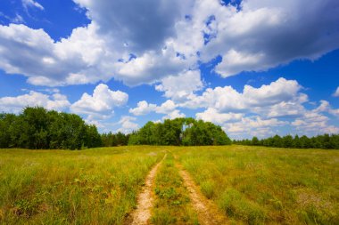 Mavi bulutlu gökyüzünün altında yer yolu olan bir çayır.