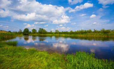 Sahilde yeşil ormanlı sakin bir yaz nehri