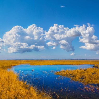 Bozkırdaki küçük mavi göl kümülüs bulutları