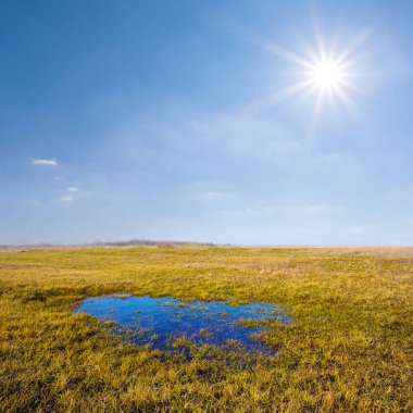 Çimenlerin arasında küçük mavi bir gölet Güneşli bir günde, ilkbahar açık hava sahnesi
