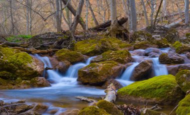 Dağ kanyonu boyunca küçük dere akıntısı