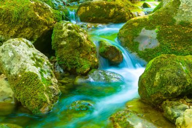 Dağ kanyonu boyunca küçük dere akıntısı