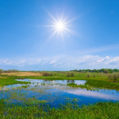 Güneşli baharda yeşil çayırlar arasında sakin bir gölet