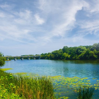 Parlak yaz gününde sakin nehrin üzerindeki taşlı köprü