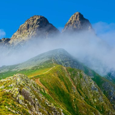 Yoğun sis ve bulutlar içinde yeşil dağ vadisi