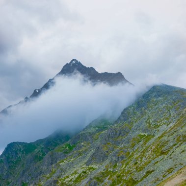 Yoğun sis ve bulutlar içinde yeşil dağ vadisi