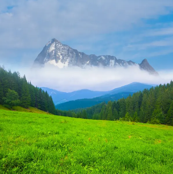 Πράσινη Κοιλάδα Του Βουνού Πυκνή Ομίχλη Και Σύννεφα Royalty Free Φωτογραφίες Αρχείου