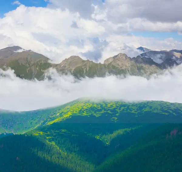 Zöld Hegyi Völgy Sűrű Ködben Felhőkben Stock Kép