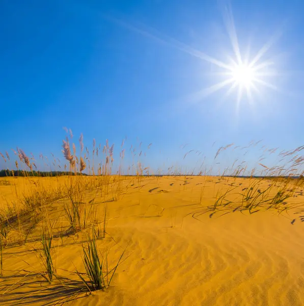 Αμμώδης Έρημος Στη Ζεστή Ηλιόλουστη Μέρα Του Καλοκαιριού Εικόνα Αρχείου