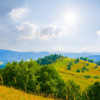 Yaz güneşli bir günde yeşil dağ