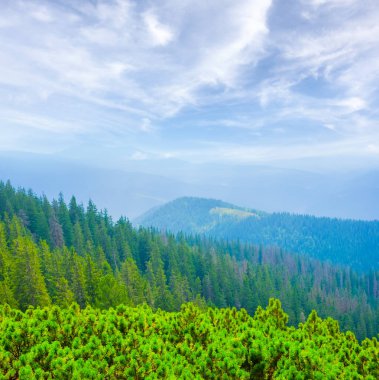 Mavi bulutlu gökyüzünün altındaki yeşil dağ vadisi