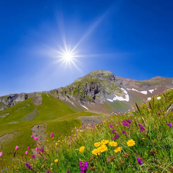 Yazın güneşli bir günde mavi bulutlu gökyüzünün altında yeşil dağ zinciri