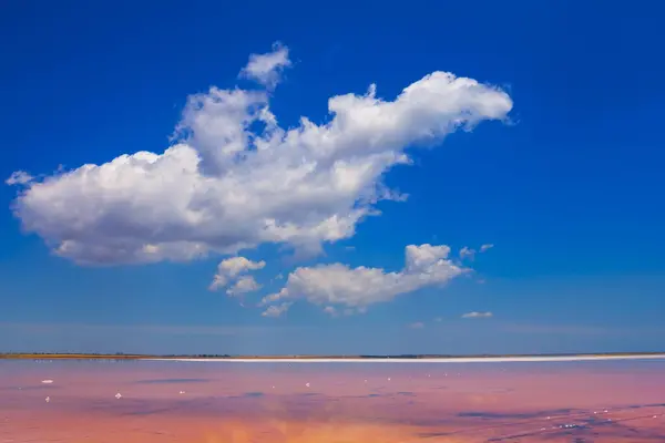 Danau Garam Merah Muda Bawah Langit Berawan Biru Stok Gambar