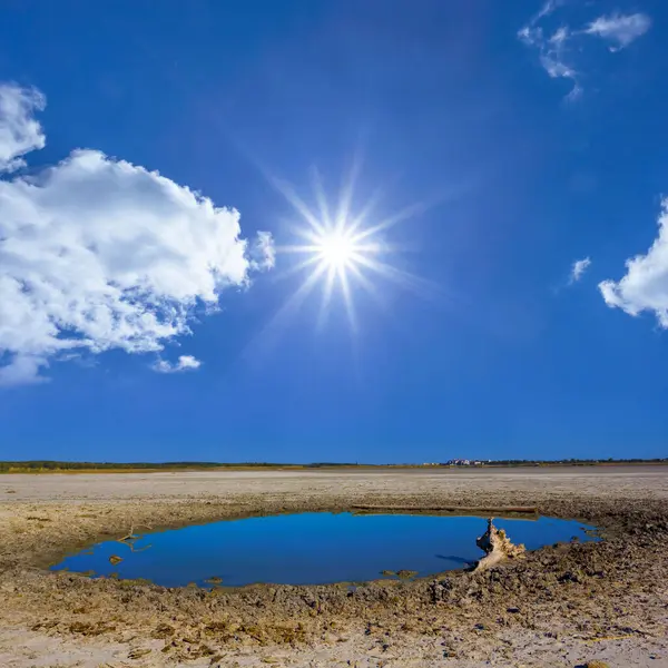 Danau Kecil Antara Tanah Asin Kering Bawah Sinar Matahari Stok Gambar Bebas Royalti