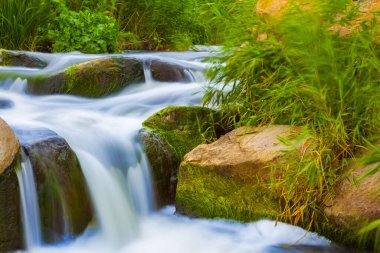 Yaz günü taşların üzerinden akan nehir.