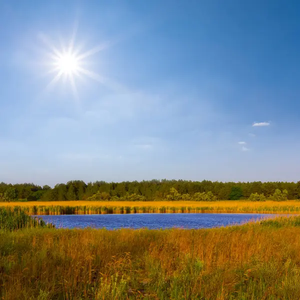 Petit Lac Bleu Parmi Les Prairies Journée Ensoleillée Été Photos De Stock Libres De Droits