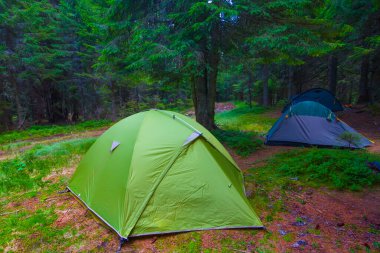Köknar ormanlarındaki turistik kamp, yaz gezisi sahnesi