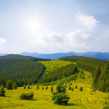 Geniş yeşil dağ vadisi Parlak güneşin altında