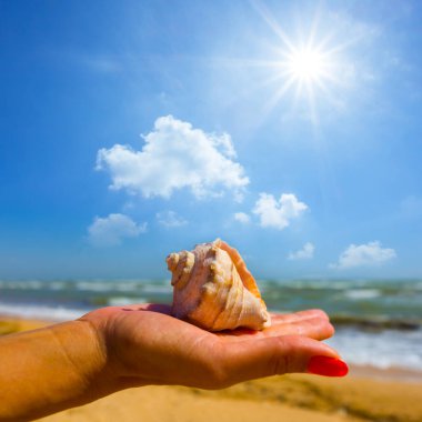 Kadın kumlu deniz sahilinde, avuç içinde boş deniz kabuğu tutuyor.