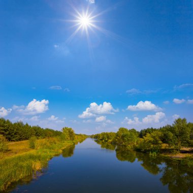 Uzun, sakin sulama kanalı. Işıl ışıl güneşin altında, sahilde orman var.