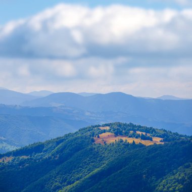 Yoğun kümülüs bulutlarının altında ormanla kaplı yeşil dağ vadisi