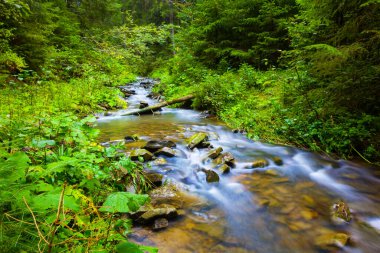 Dağ kanyonundan akan küçük bir nehir