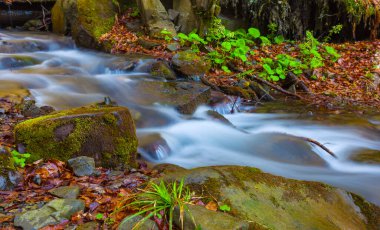 Mavi nehir dağ kanyonunda akıyor.
