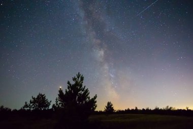 Gece Samanyolu Köknar Ormanı 'nın üzerindeki yıldızlı gökyüzü