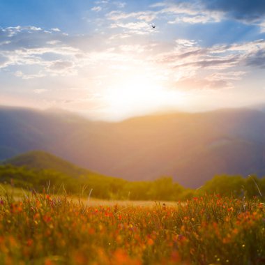 Günbatımında yeşil dağ zinciri