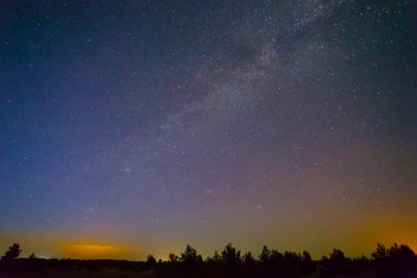 Gece yıldızlı gökyüzü Orman siluetinin üzerinde Samanyolu ile