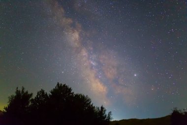 Gece yıldızlı gökyüzü Orman siluetinin üzerinde Samanyolu ile