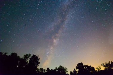Gece yıldızlı gökyüzü Orman siluetinin üzerinde Samanyolu ile