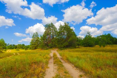 Mavi bulutlu gökyüzünün altında yaz çayırları