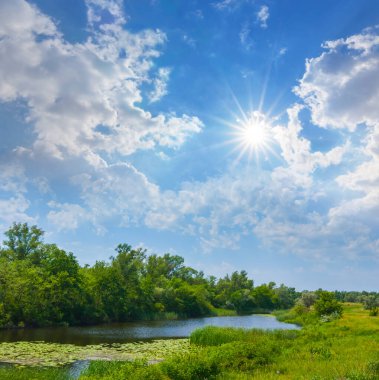 Yazın güneşli bir günde sahilde ormanlı küçük bir nehir.