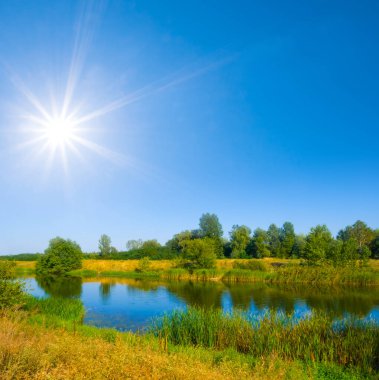 Yazın güneşli bir günde sahilde ormanlı küçük bir nehir.