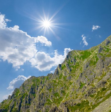 Işıl ışıl güneş ışığı altında yeşil yamaç