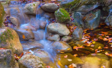 Dağ kanyonundaki bir taşın üzerinden geçen küçük bir broş.