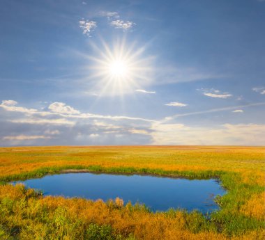 Çayırların arasında sakin bir göl Işıltılı bir cun altında
