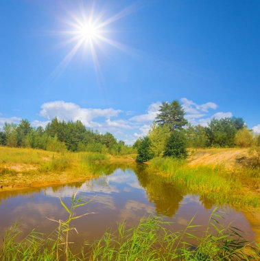 Yazın güneşli bir günde sahilde ormanlı küçük bir göl.