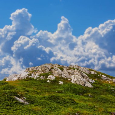 Tepesi mavi bulutlu gökyüzünün altında, yaz gezisi sahnesi