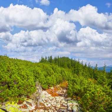 Yoğun bulutlu gökyüzünün altındaki yeşil dağ vadisi