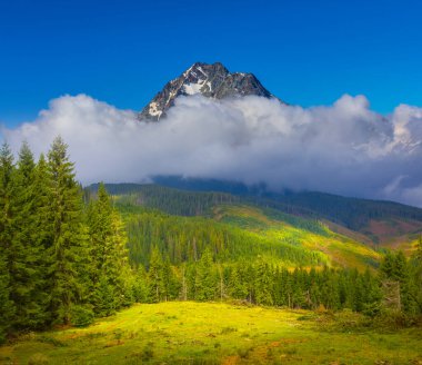 Yoğun sis ve bulutlar içinde geniş bir dağ vadisi
