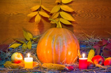 Yakın çekim olgunlaşmış balkabağı kuru çimenlerin, mumun, meyvelerin ve yaprakların arasında