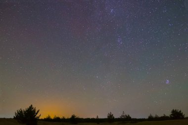 Karanlık orman siluetinin üzerindeki yıldızlı gökyüzü