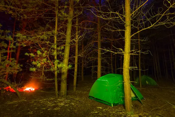 Gece ormanında çadır ve ateş olan bir turistik kamp.