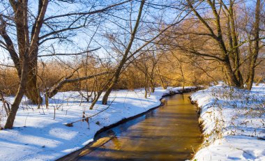 Kış donmuş nehir kıyılarında ormanla aydınlık bir günde