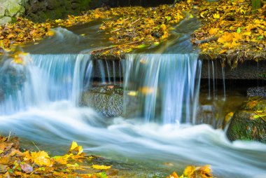 Kırmızı kuru yaprakların arasında taşların üzerinden akan küçük bir dağ deresi.