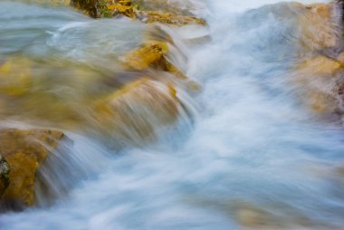 Küçük dağ nehrindeki şelale kırmızı kuru yapraklarla kaplı kanyon boyunca akıyor.