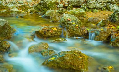 Küçük dağ nehri, kırmızı kuru yapraklarla kaplı kanyon boyunca akıyor.